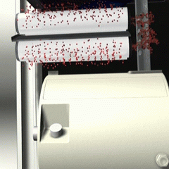 �o�������