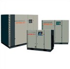 ������������ ������ �Ů����Y��